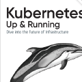 Ebook gratis: Kubernetes Up and Running