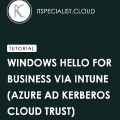 Windows Hello for Business is the MFA for Windows login!